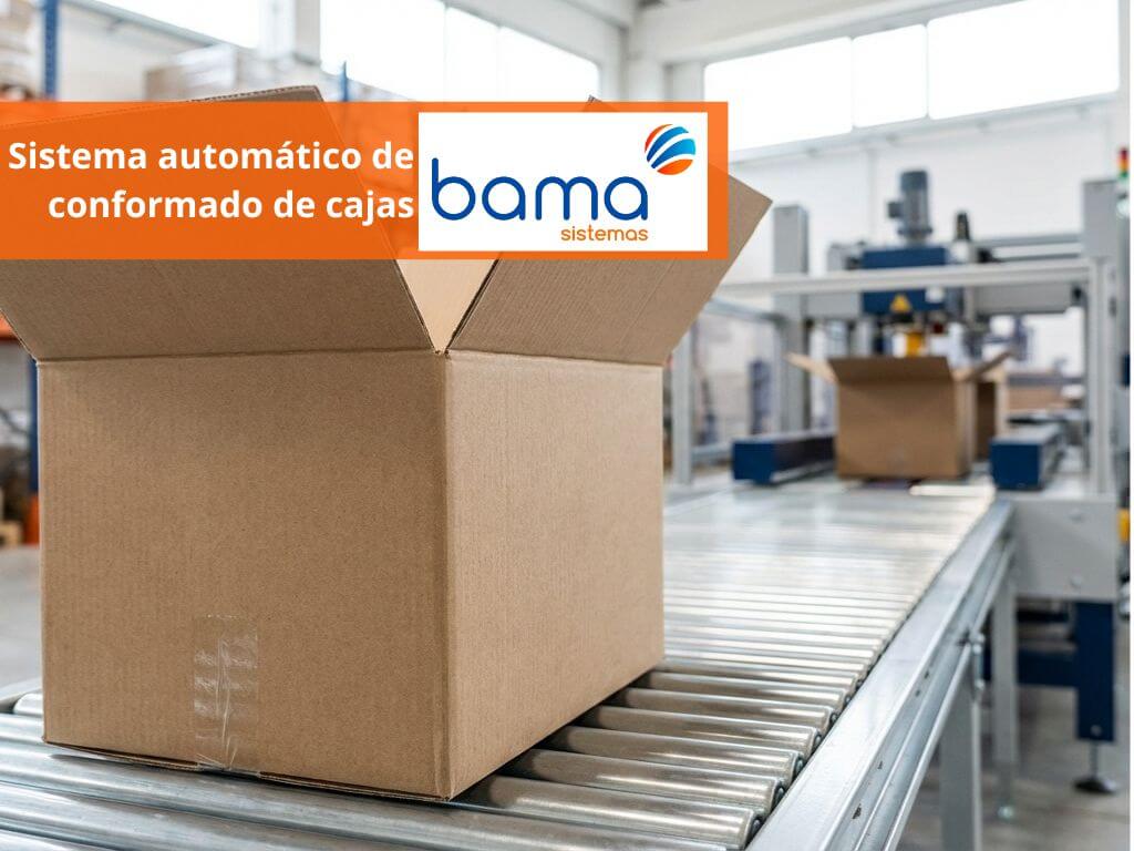 automatic case erecting system